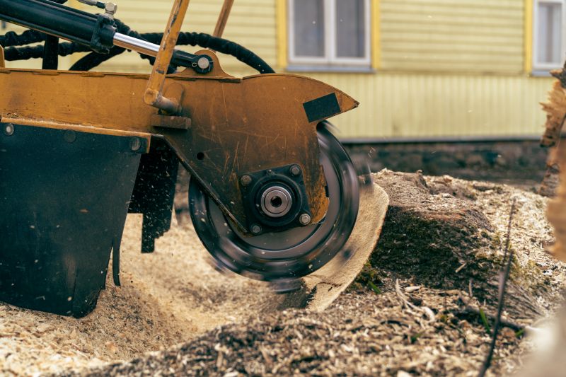Commercial Stump Grinding in Calvert County, MD