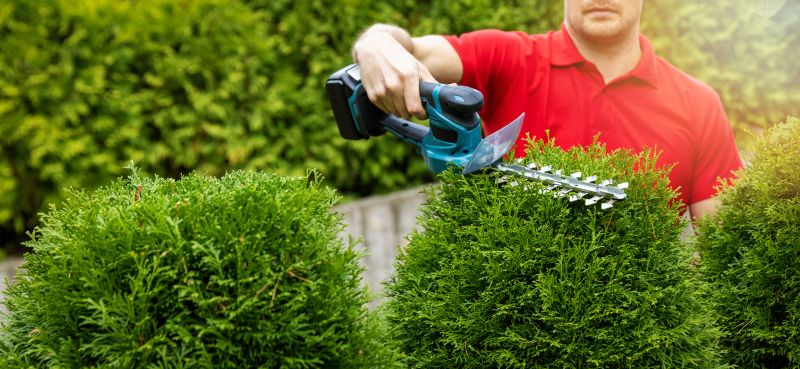 Evergreen Hedge Trimming in Rockwall, TX
