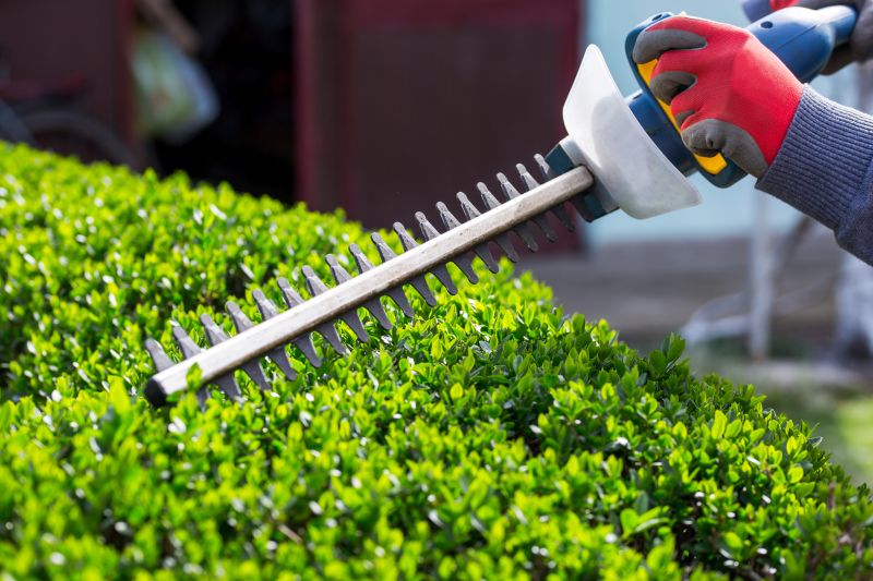 Hedge Shaping Service in Aiken, SC